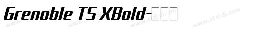 Grenoble TS XBold字体转换